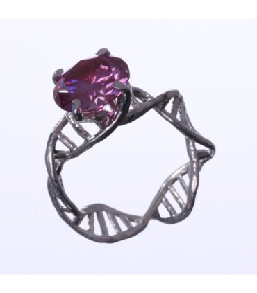 Anulus Codicis Vitae