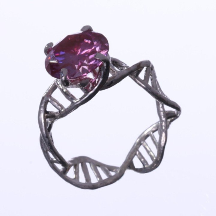 Anulus Codicis Vitae