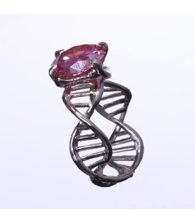 Anulus Codicis Vitae