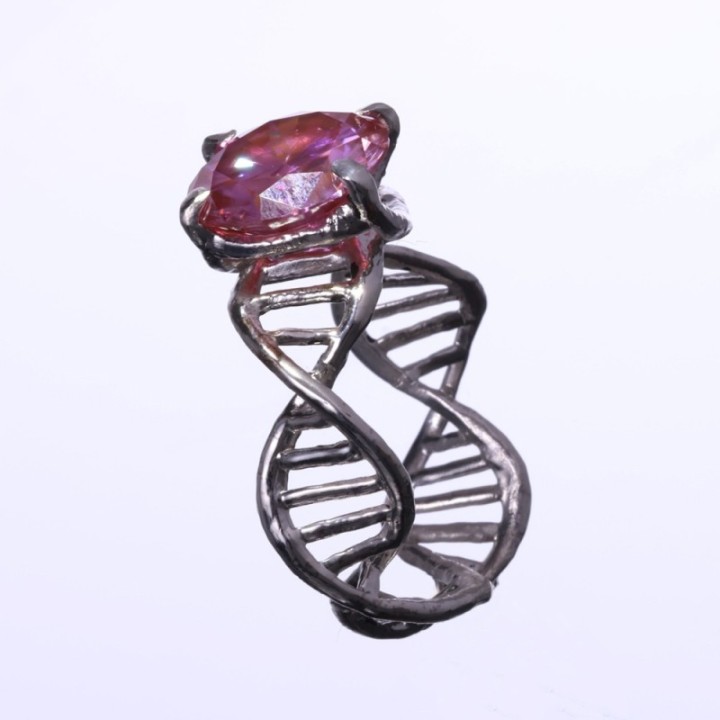 Anulus Codicis Vitae