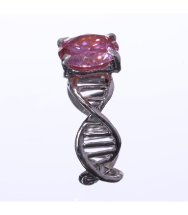 Anulus Codicis Vitae