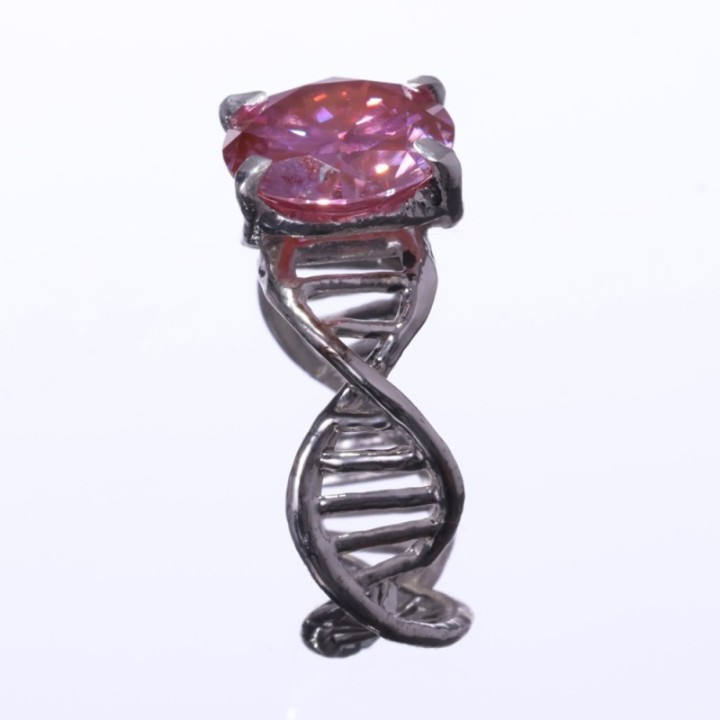 Anulus Codicis Vitae