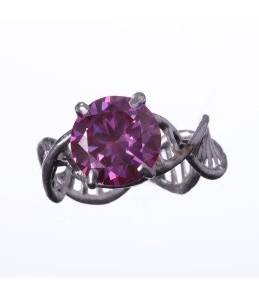 Anulus Codicis Vitae