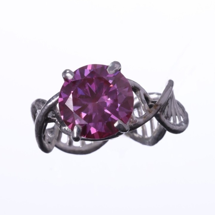 Anulus Codicis Vitae