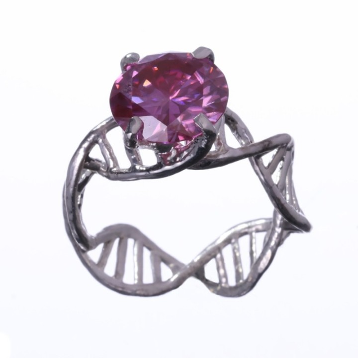 Anulus Codicis Vitae