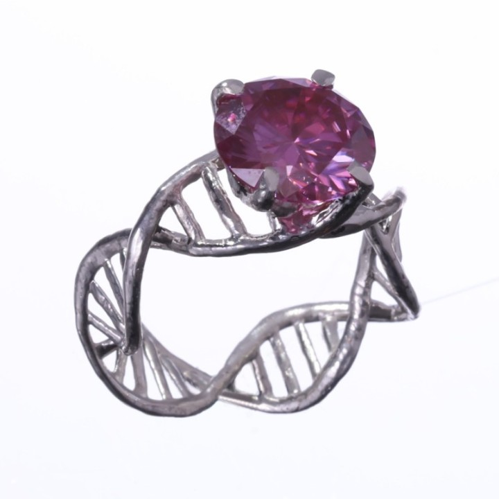 Anulus Codicis Vitae