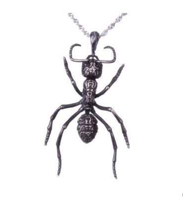 Streblognathus Peetersi