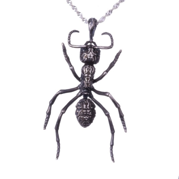 Streblognathus Peetersi