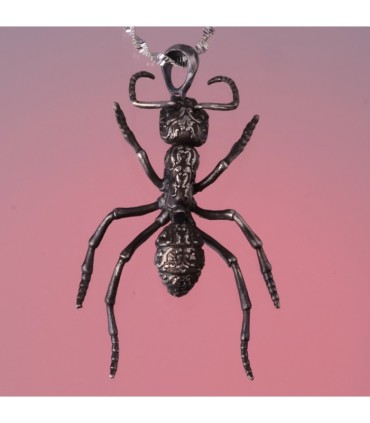 Streblognathus Peetersi