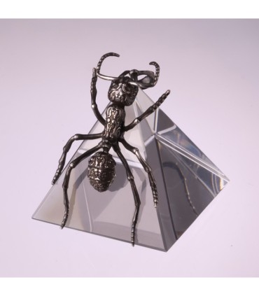 Streblognathus Peetersi