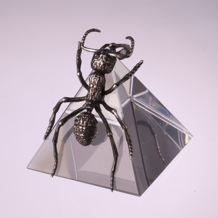 Streblognathus Peetersi