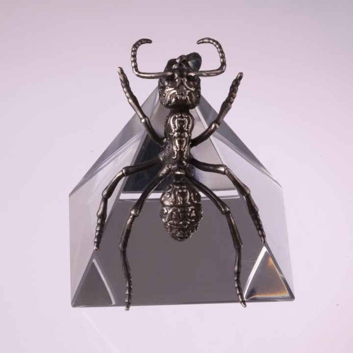 Streblognathus Peetersi