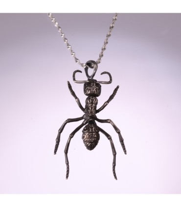 Streblognathus Peetersi