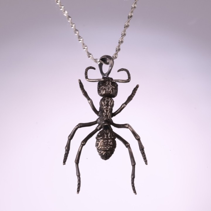 Streblognathus Peetersi