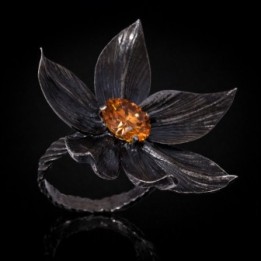 Magnolia Grandiflora