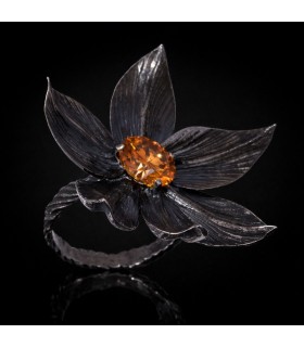 Magnolia Grandiflora