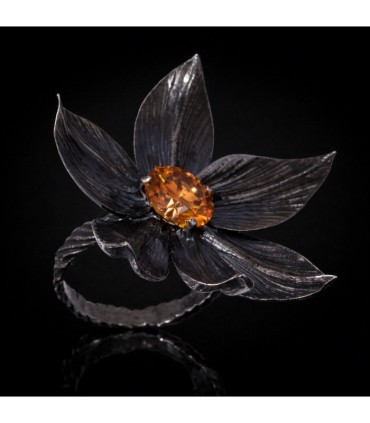 Magnolia Grandiflora