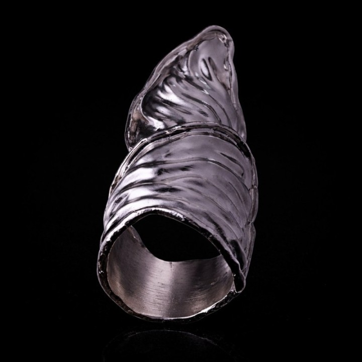 Triangulum Animae Flux