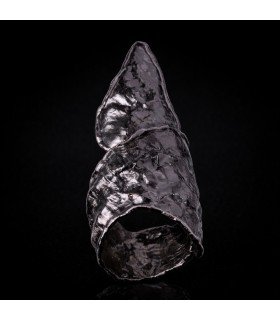 Triangulum Animae Umbra