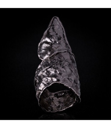 Triangulum Animae Umbra