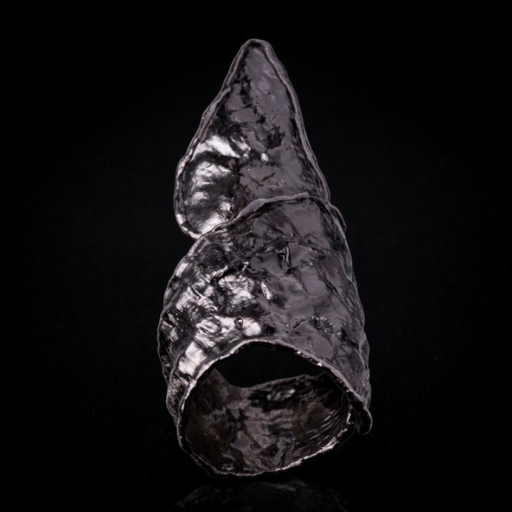 Triangulum Animae Umbra