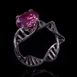 Anulus Codicis Vitae