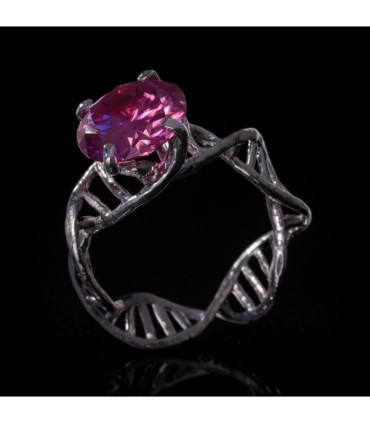 Anulus Codicis Vitae