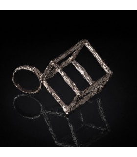 Anulus Cubi