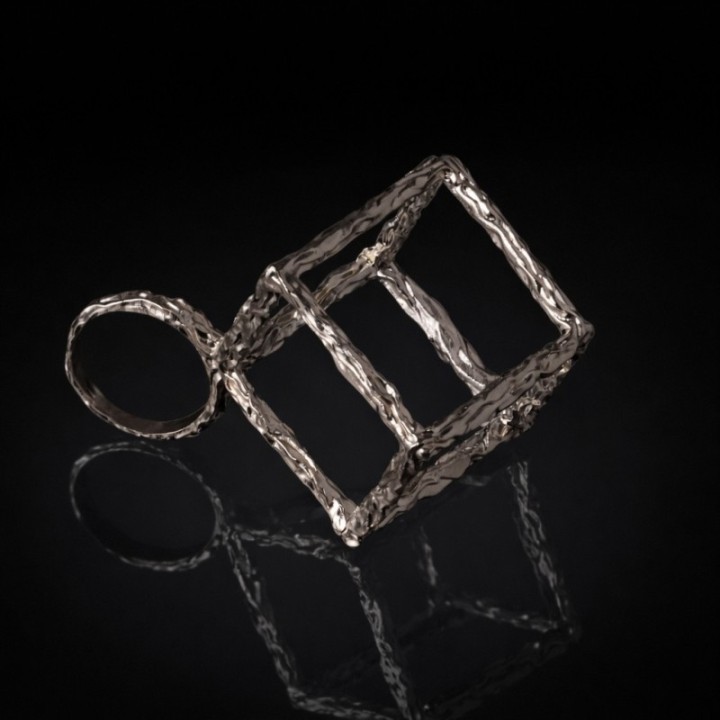 Anulus Cubi