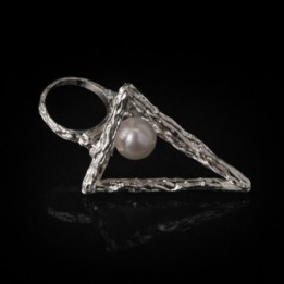 Anulus Tetraedri et Perlae