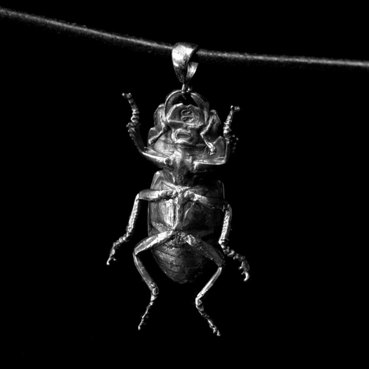 Dorcus Parallelipipedus