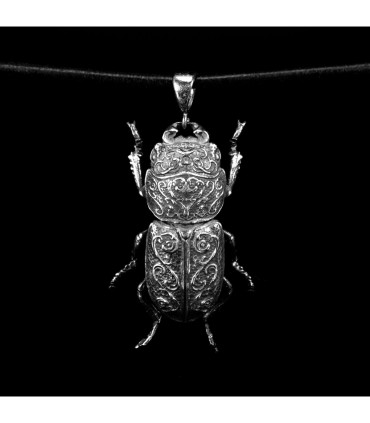 Dorcus Parallelipipedus