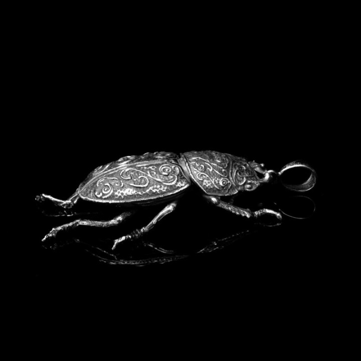 Dorcus Parallelipipedus