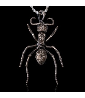 Streblognathus Peetersi