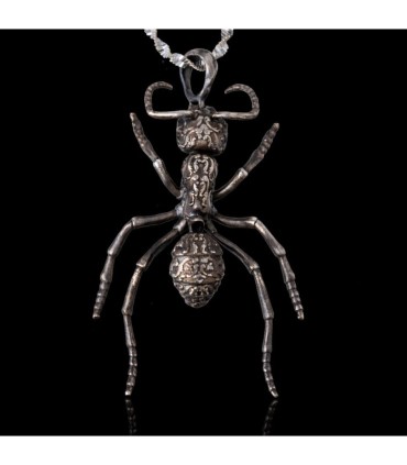 Streblognathus Peetersi