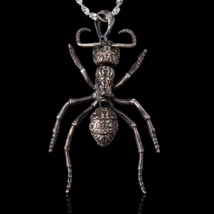 Streblognathus Peetersi