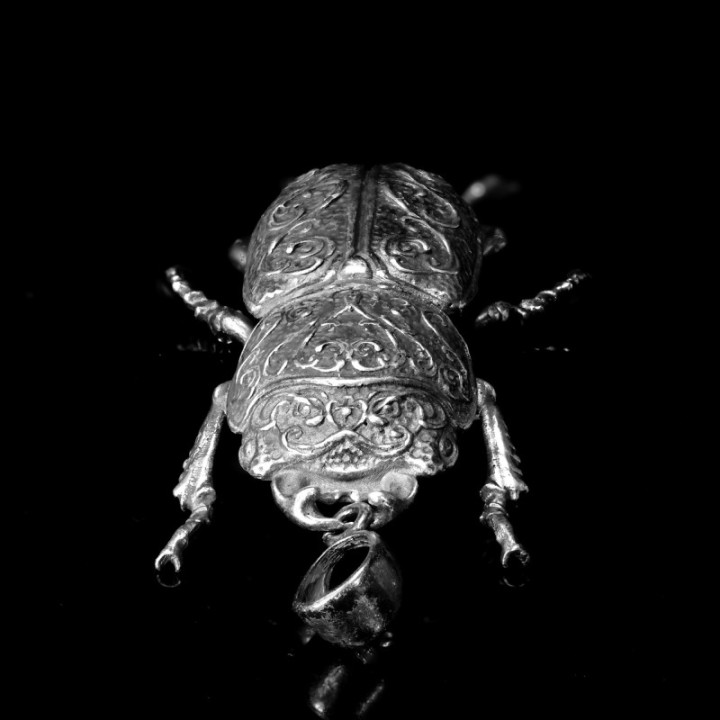 Dorcus Parallelipipedus