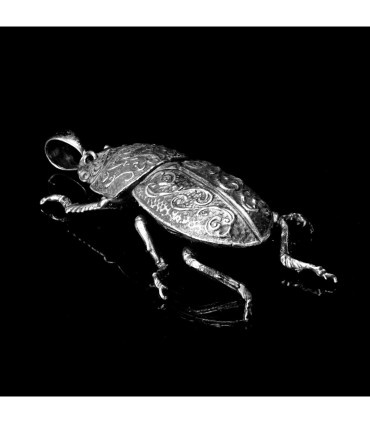 Dorcus Parallelipipedus