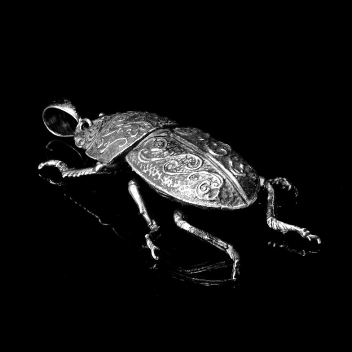 Dorcus Parallelipipedus