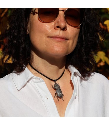 Dorcus Parallelipipedus