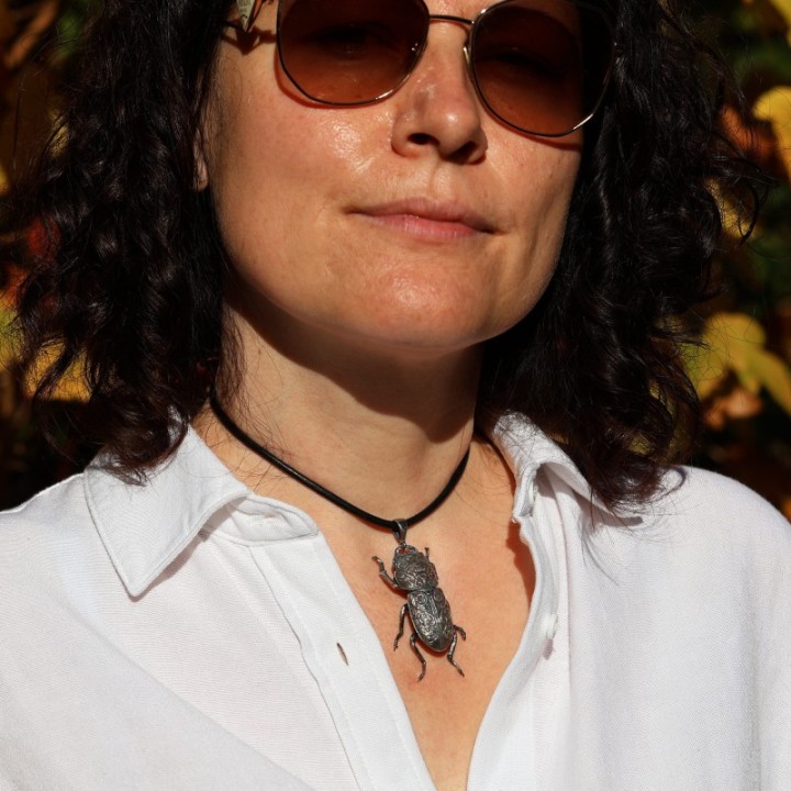 Dorcus Parallelipipedus