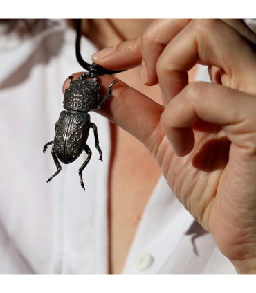 Dorcus Parallelipipedus