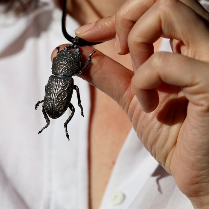 Dorcus Parallelipipedus