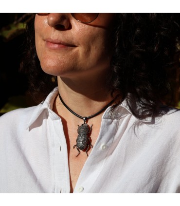 Dorcus Parallelipipedus