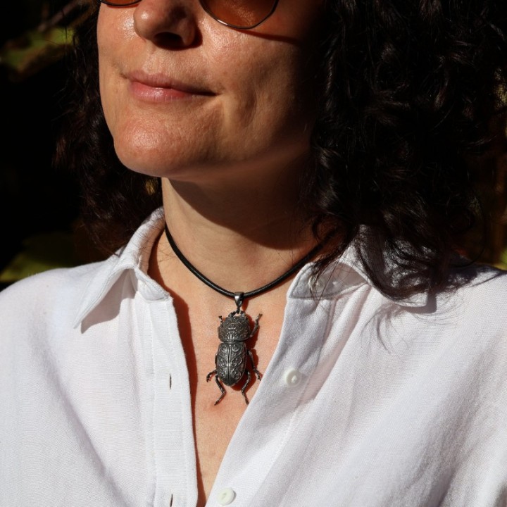 Dorcus Parallelipipedus