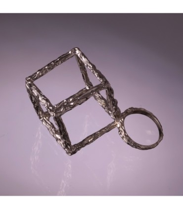 Anulus Cubi