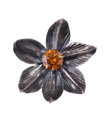 Magnolia Grandiflora