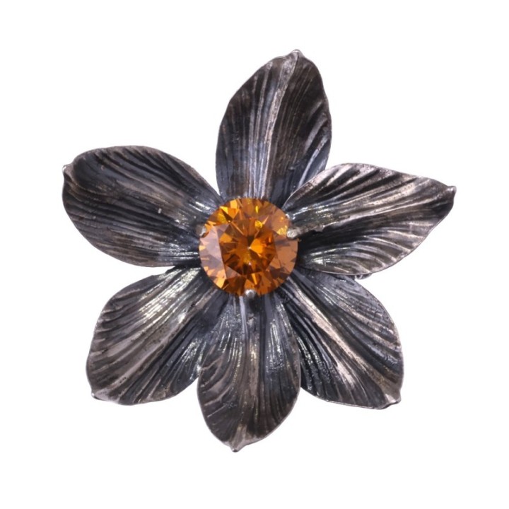 Magnolia Grandiflora