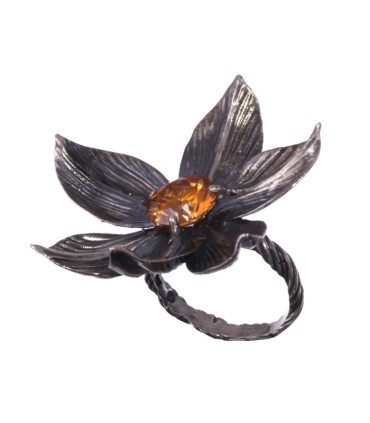 Magnolia Grandiflora