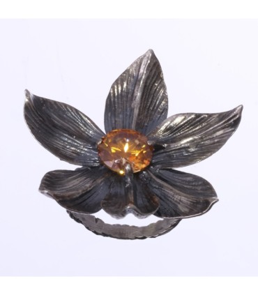 Magnolia Grandiflora